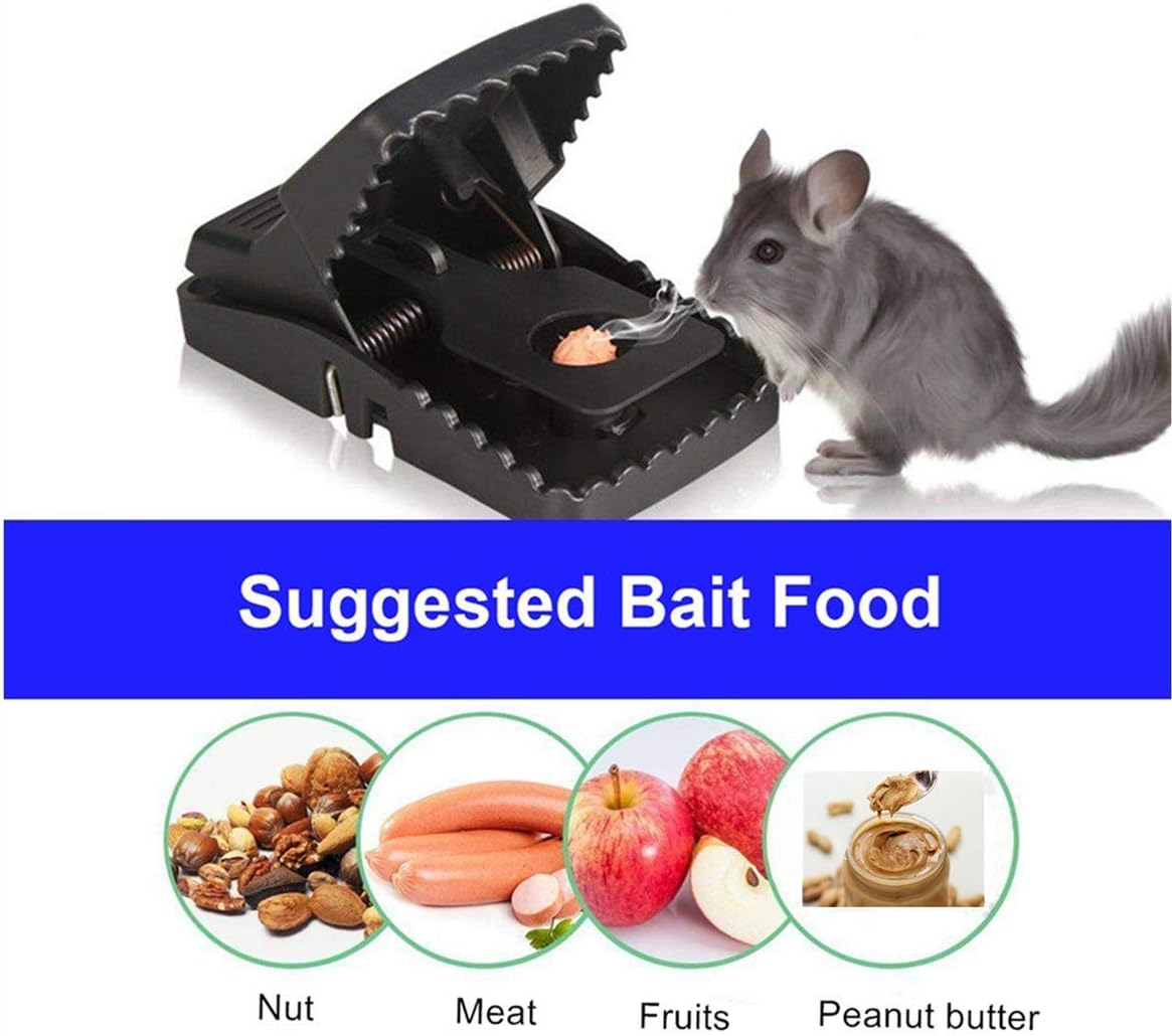 Heavy Duty Reusable Mouse Trap